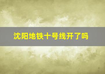 沈阳地铁十号线开了吗