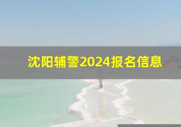 沈阳辅警2024报名信息