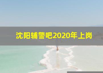 沈阳辅警吧2020年上岗