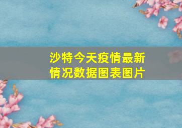 沙特今天疫情最新情况数据图表图片