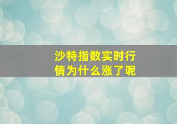 沙特指数实时行情为什么涨了呢