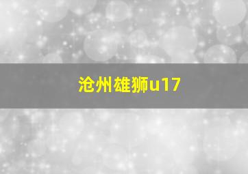 沧州雄狮u17