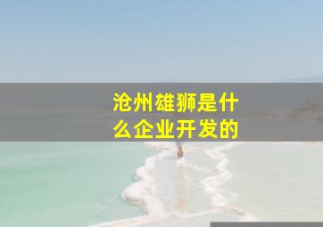 沧州雄狮是什么企业开发的