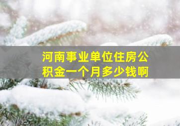 河南事业单位住房公积金一个月多少钱啊