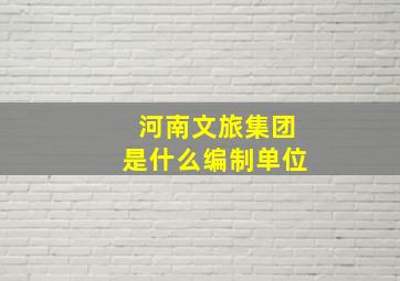 河南文旅集团是什么编制单位