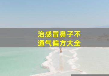 治感冒鼻子不通气偏方大全