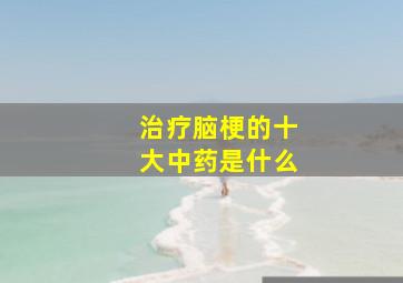 治疗脑梗的十大中药是什么