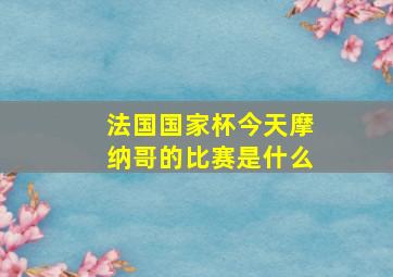 法国国家杯今天摩纳哥的比赛是什么