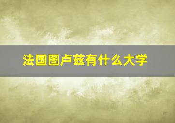 法国图卢兹有什么大学