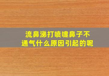 流鼻涕打喷嚏鼻子不通气什么原因引起的呢