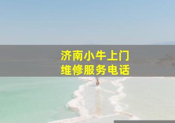 济南小牛上门维修服务电话