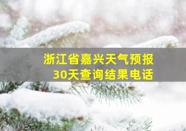 浙江省嘉兴天气预报30天查询结果电话