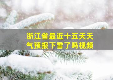 浙江省最近十五天天气预报下雪了吗视频