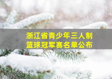 浙江省青少年三人制篮球冠军赛名单公布