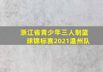 浙江省青少年三人制篮球锦标赛2021温州队