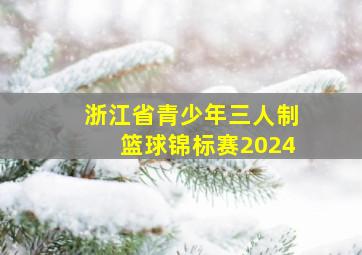 浙江省青少年三人制篮球锦标赛2024