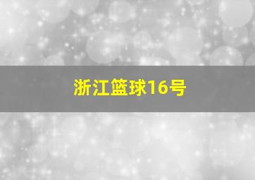 浙江篮球16号