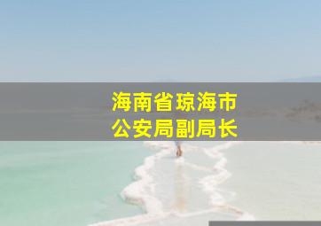 海南省琼海市公安局副局长