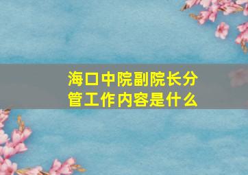 海口中院副院长分管工作内容是什么