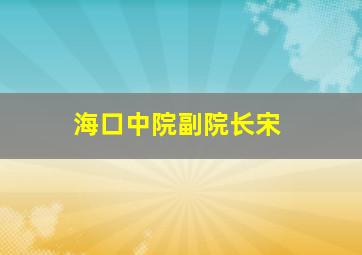 海口中院副院长宋