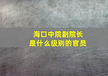 海口中院副院长是什么级别的官员