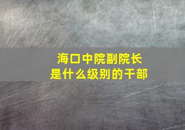 海口中院副院长是什么级别的干部