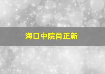 海口中院肖正新