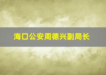 海口公安周德兴副局长