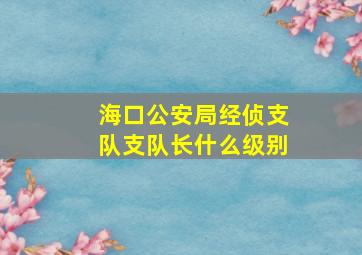 海口公安局经侦支队支队长什么级别