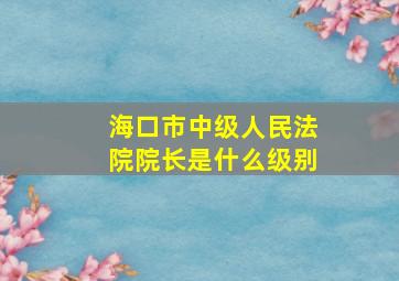 海口市中级人民法院院长是什么级别