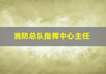 消防总队指挥中心主任