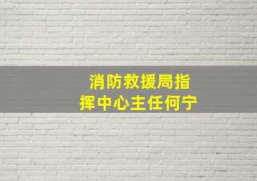 消防救援局指挥中心主任何宁