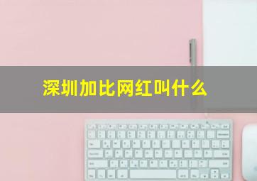 深圳加比网红叫什么