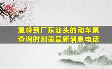 温岭到广东汕头的动车票查询时刻表最新消息电话