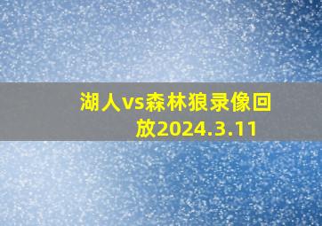 湖人vs森林狼录像回放2024.3.11