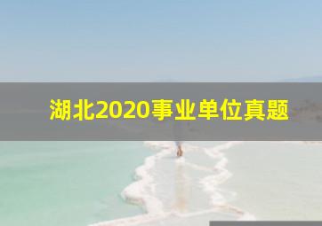 湖北2020事业单位真题