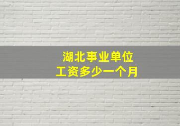 湖北事业单位工资多少一个月