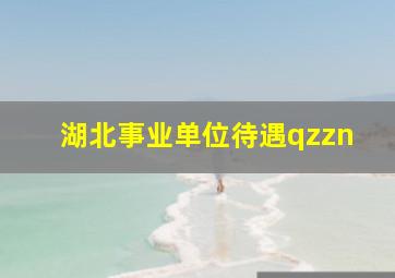 湖北事业单位待遇qzzn