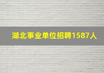 湖北事业单位招聘1587人