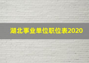 湖北事业单位职位表2020