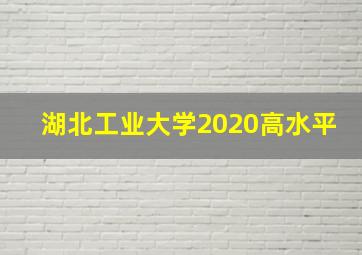 湖北工业大学2020高水平