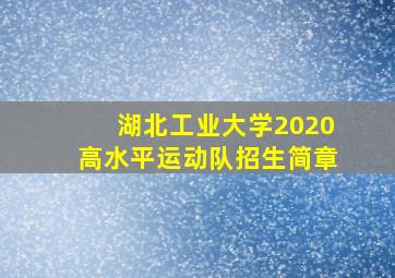 湖北工业大学2020高水平运动队招生简章