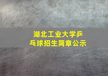 湖北工业大学乒乓球招生简章公示