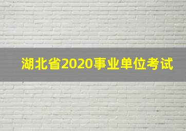 湖北省2020事业单位考试