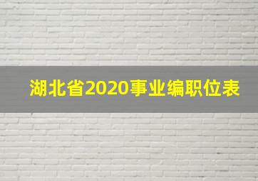 湖北省2020事业编职位表