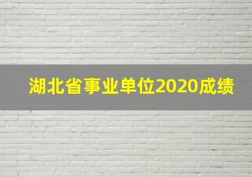 湖北省事业单位2020成绩