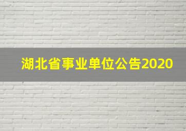 湖北省事业单位公告2020