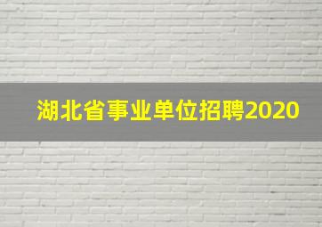 湖北省事业单位招聘2020