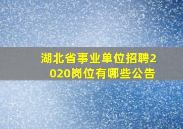 湖北省事业单位招聘2020岗位有哪些公告