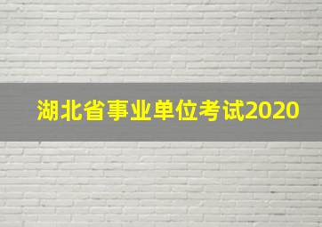 湖北省事业单位考试2020